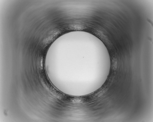 X0000101680358200807311524