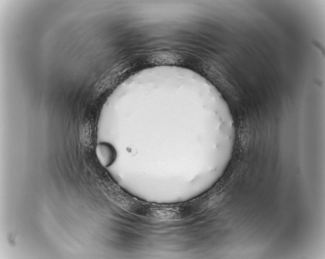 X0000101680359200807311524