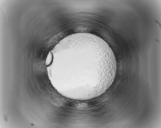 X0000101680361200807311524