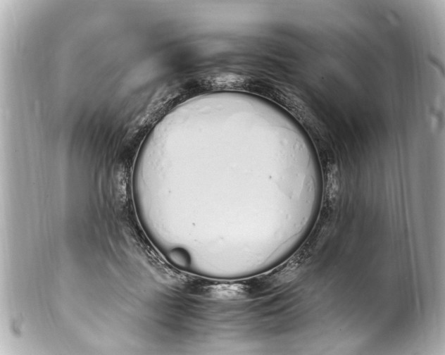 X0000101680363200807311524