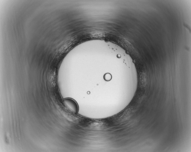 X0000101680364200807311524