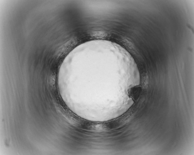 X0000101680365200807311524