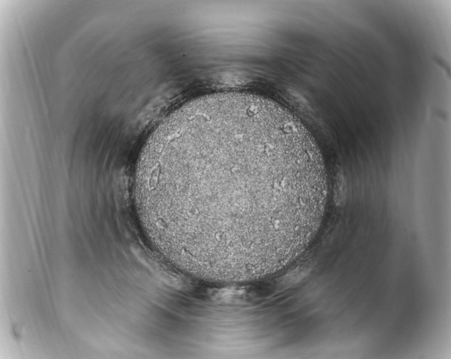 X0000101680366200807311524