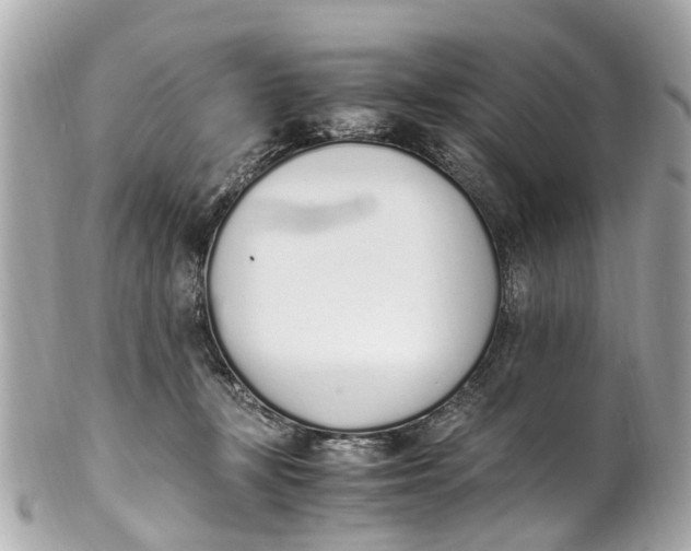 X0000101680367200807311524