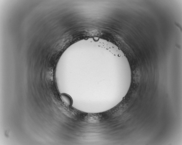 X0000101680368200807311524