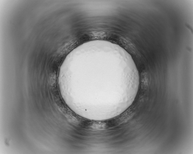 X0000101680369200807311524