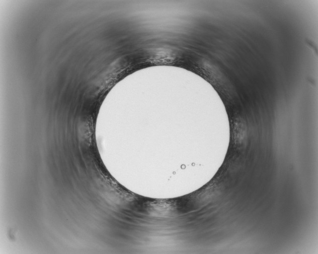 X0000101680370200807311524