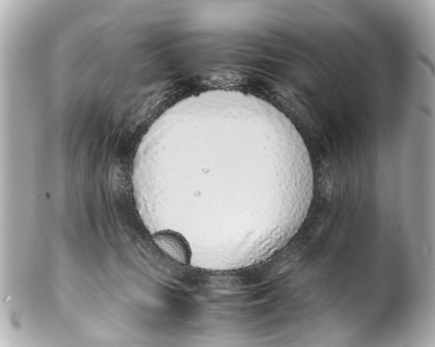 X0000101680371200807311524