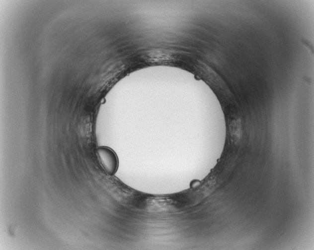 X0000101680372200807311524