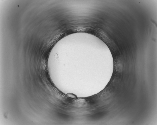 X0000101680374200807311524