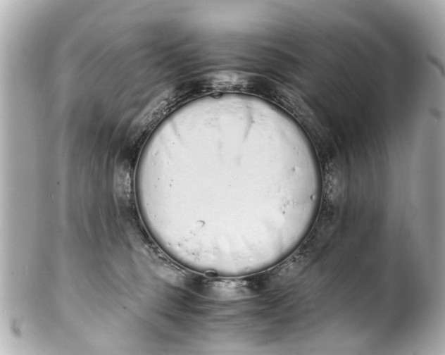 X0000101680375200807311524