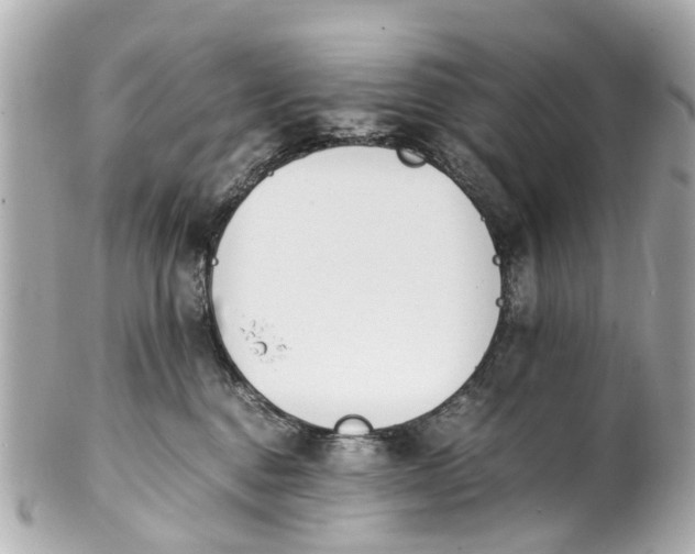 X0000101680376200807311524