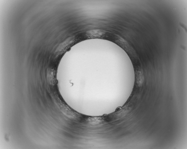 X0000101680378200807311524