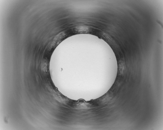 X0000101680379200807311524