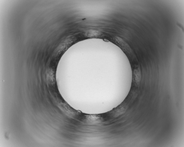 X0000101680380200807311524