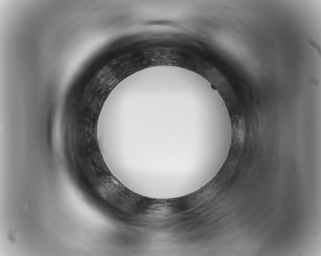 X0000101680381200807311524