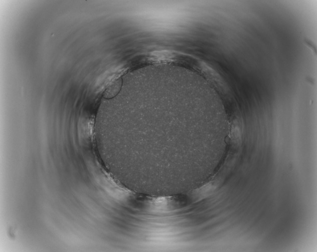 X0000101680382200807311524