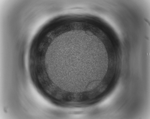 X0000101680383200807311524