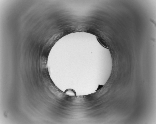 X0000101680384200807311524