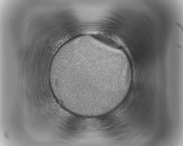 X0000101680385200807311524