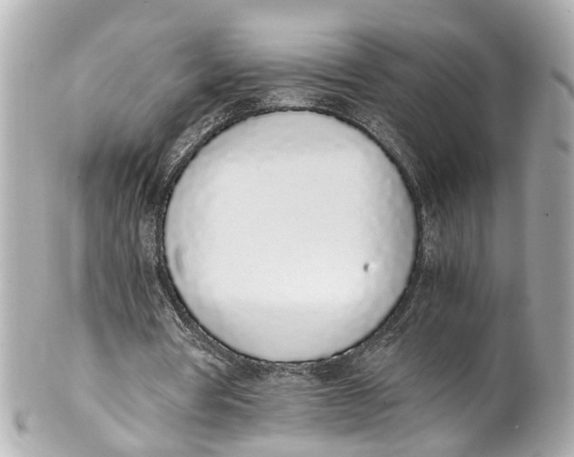 X0000101680386200807311524