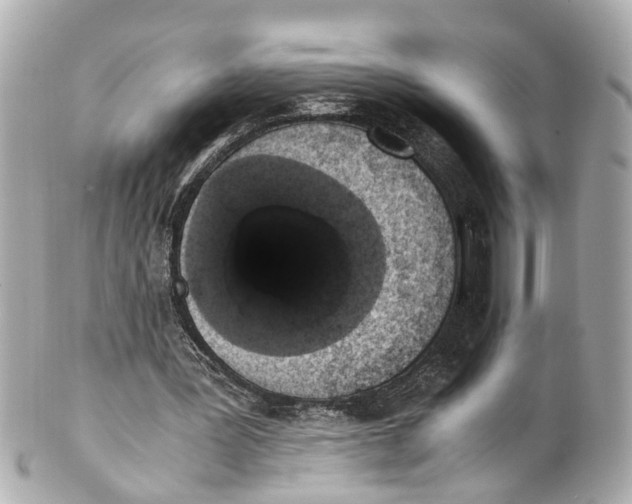 X0000101680387200807311524