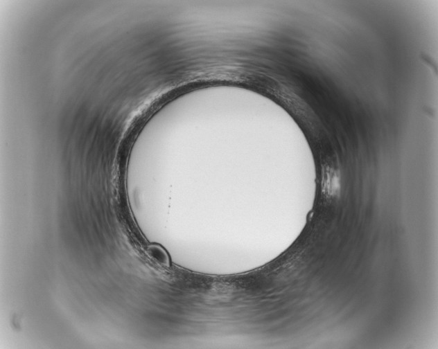 X0000101680388200807311524