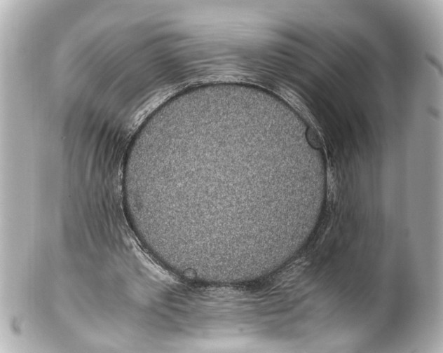 X0000101680389200807311524