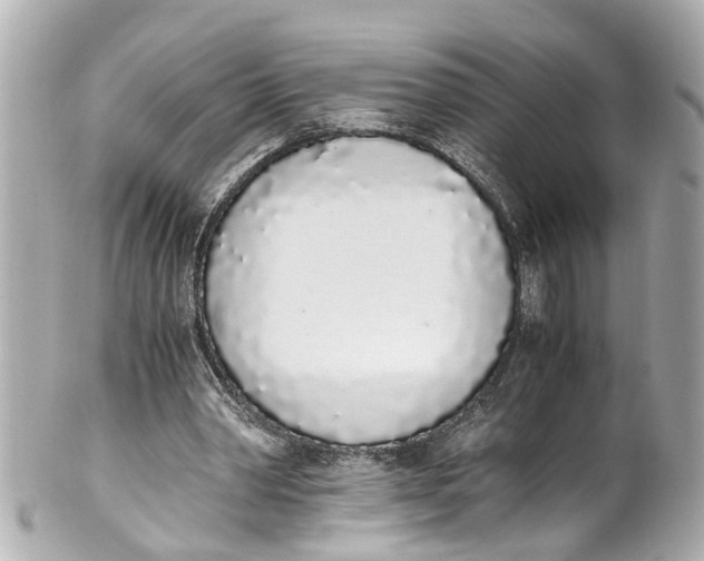 X0000101680390200807311524