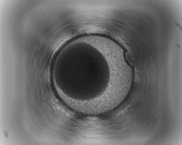 X0000101680391200807311524