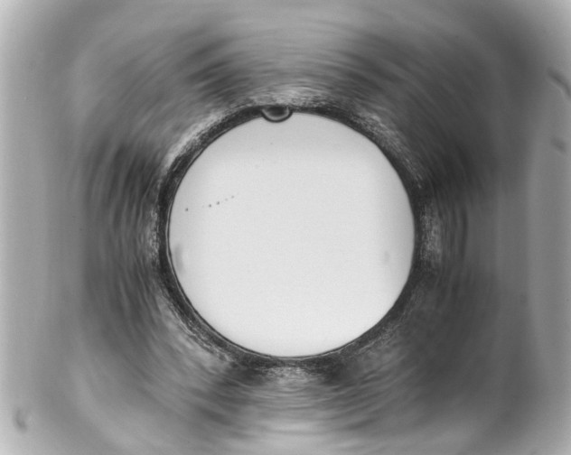 X0000101680392200807311524