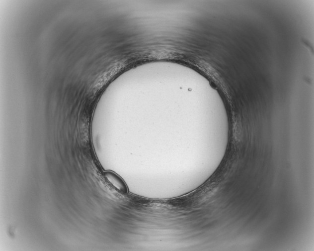 X0000101680393200807311524