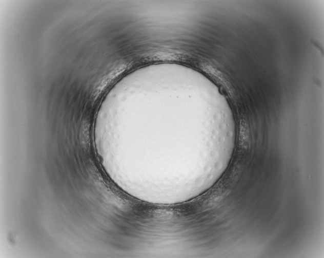 X0000101680394200807311524