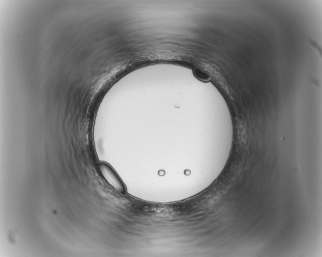 X0000101680395200807311524