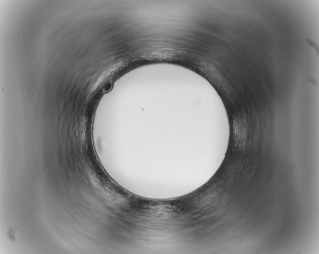 X0000101680396200807311524