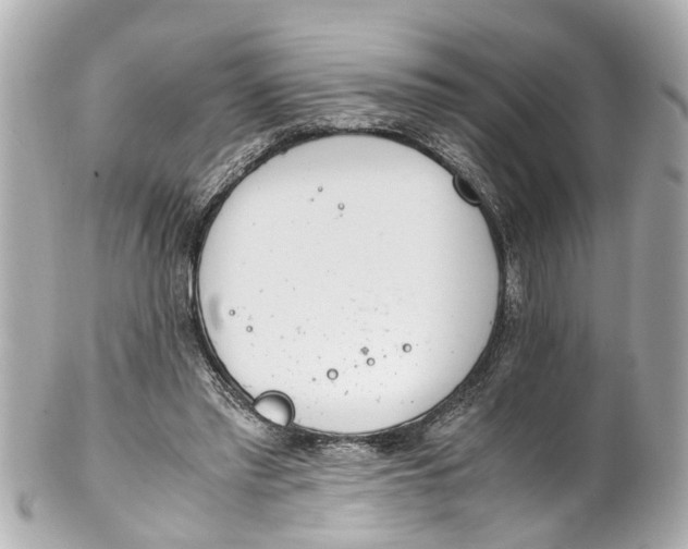 X0000101680397200807311524