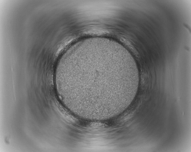 X0000101680399200807311524