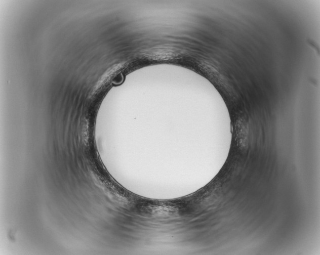 X0000101680400200807311524