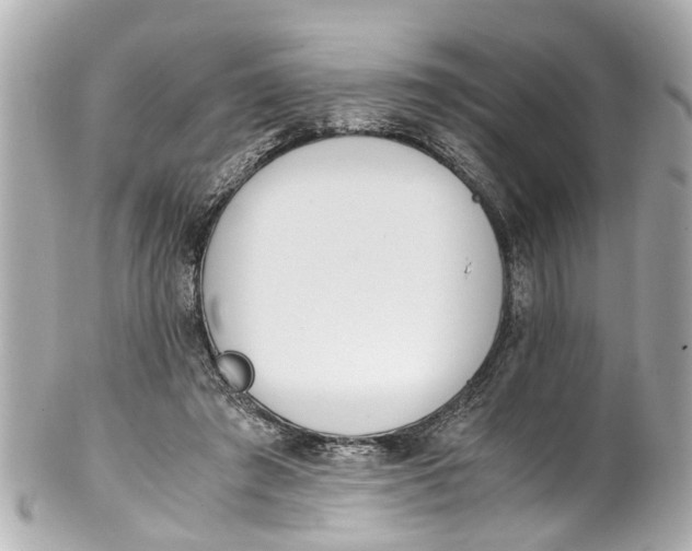 X0000101680401200807311524