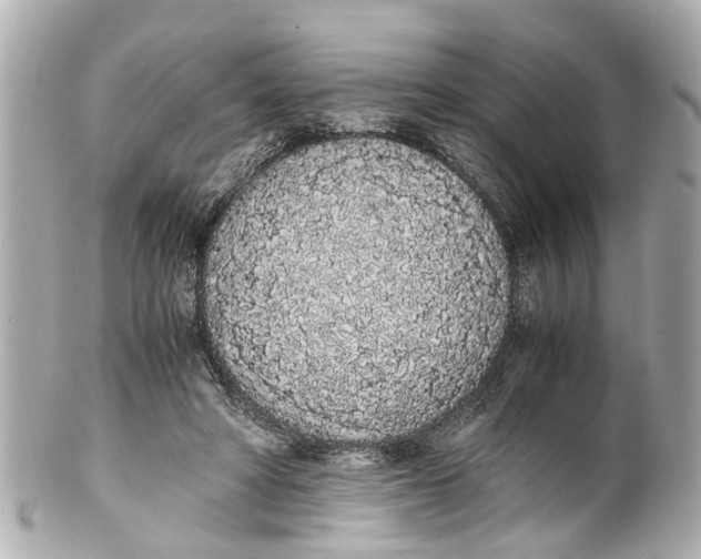 X0000101680402200807311523