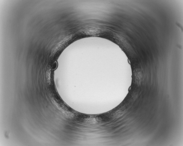 X0000101680404200807311523