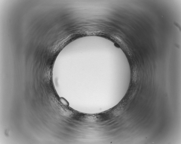 X0000101680405200807311523