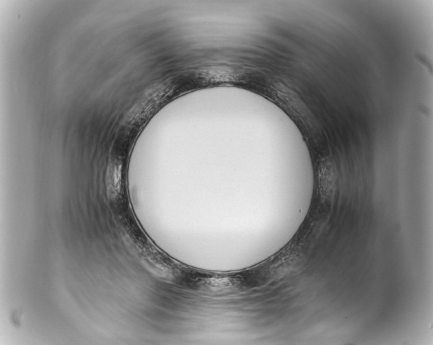 X0000101680406200807311523