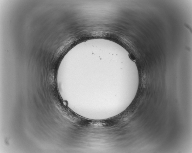 X0000101680407200807311523