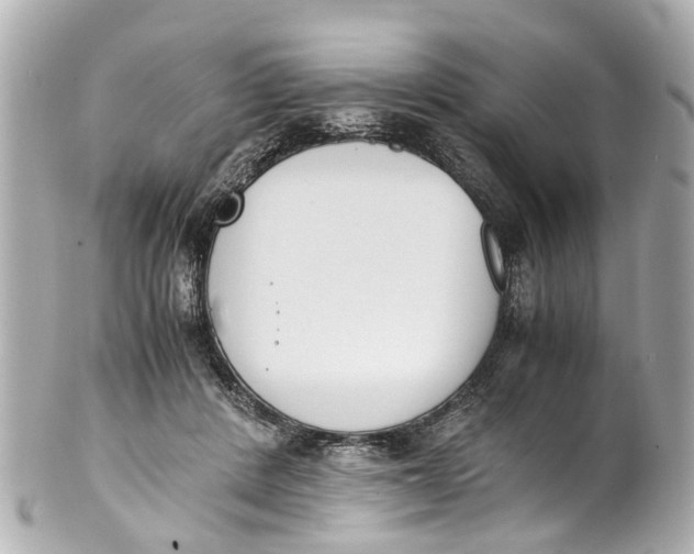 X0000101680408200807311523