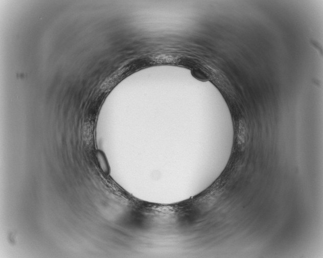 X0000101680409200807311523