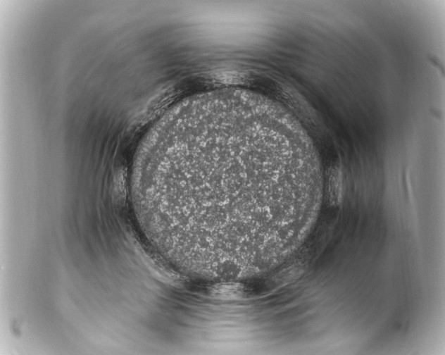 X0000101680410200807311523