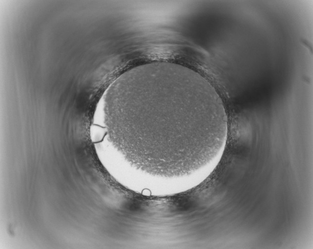 X0000101680411200807311523