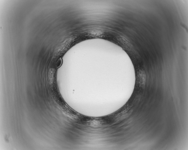 X0000101680412200807311523