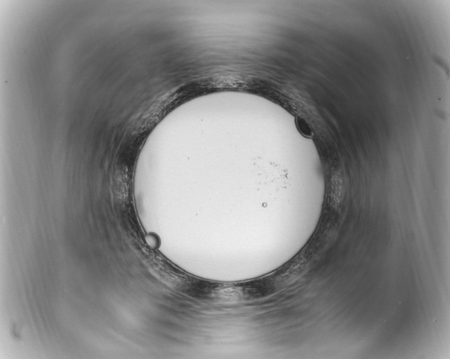 X0000101680413200807311523